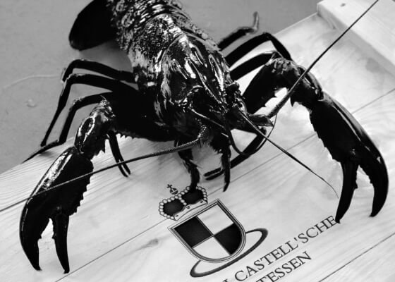 A Western Australian freshwater marron on a Gräflich Castell'sche Delikatessen crate bearing the family crest